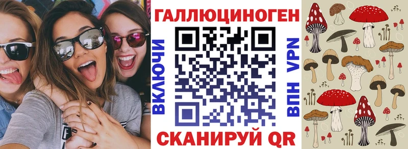 Купить где  Черноголовка  Галлюциногенные грибы Magic Shrooms 